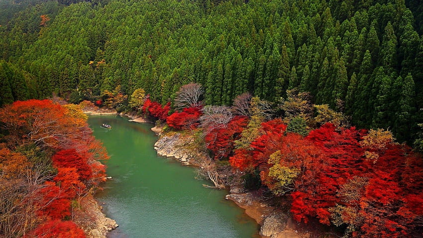 River, autumn,trees, spruce, autumn trees water HD wallpaper | Pxfuel