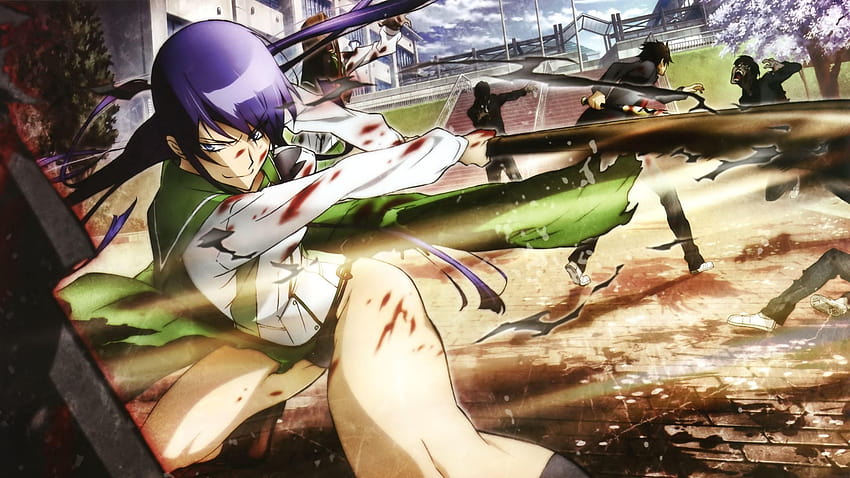 of Saeko Busujima from High School of the Dead, highschool of the dead HD wallpaper