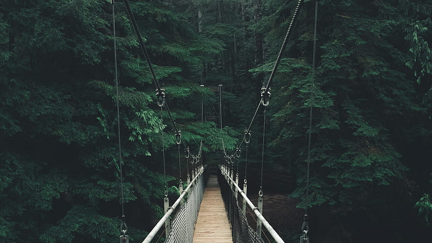 3840x2160 Holzbrücke, Wald, Bäume, Seil HD-Hintergrundbild