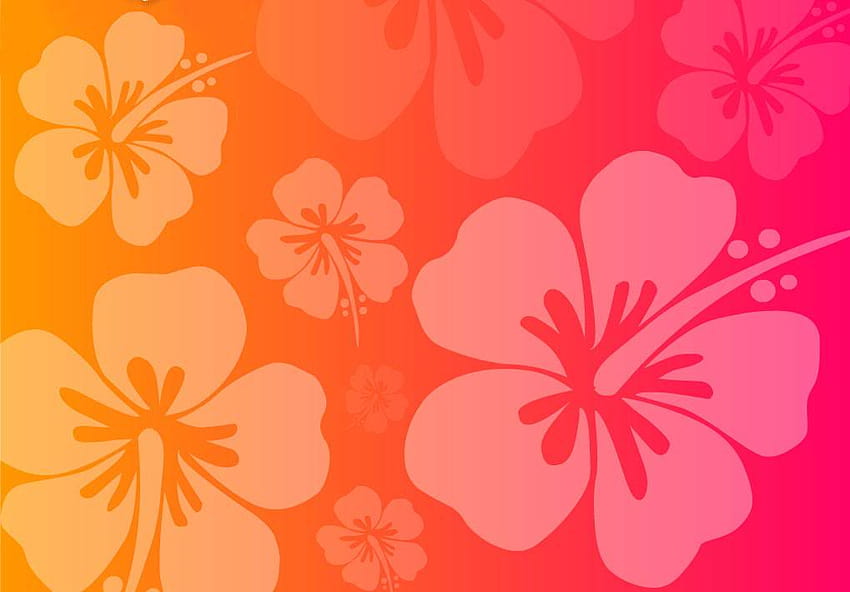 ดอกไม้ฮาวาย: พื้นหลังดอกไม้ฮาวายสีชมพู Utama วอลล์เปเปอร์ HD