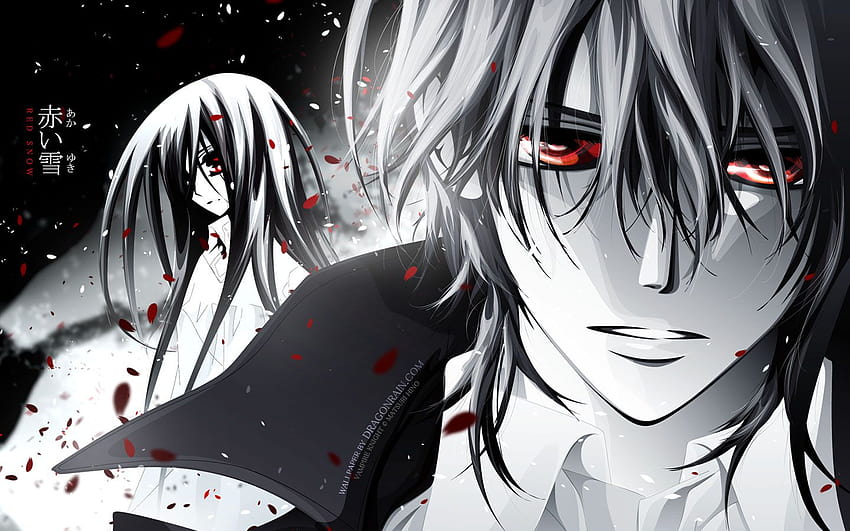 kuran kaname red eyes signed vampire knight watermark yuuki cross, knight anime HD wallpaper