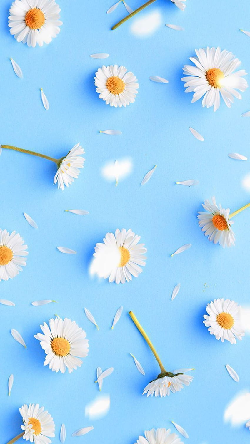 Flower: Blue Flower Aesthetic, asthetic spring flowers HD phone wallpaper