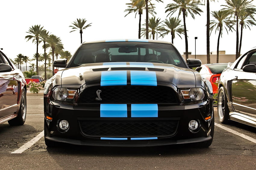 Ford Mustang, Muscle Cars, Blue Stripes, Black Paint, Shelby GT / and Mobile Backgrounds, car paint HD wallpaper