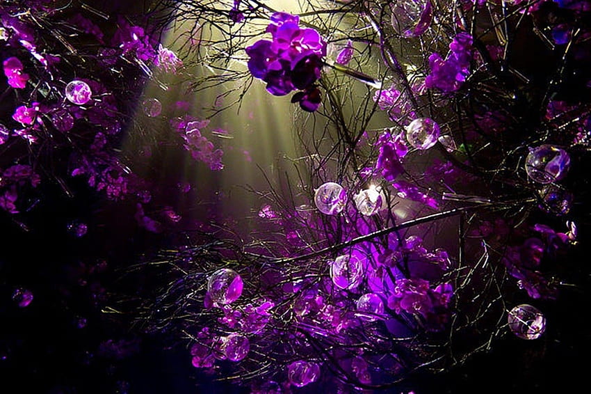 Purple sprigs, background violet HD wallpaper
