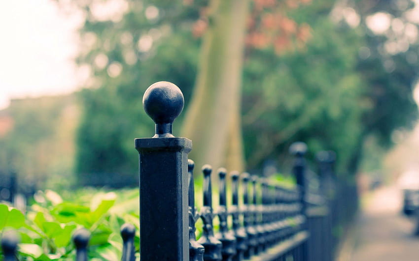 Fence Full and Backgrounds, blur wide HD wallpaper | Pxfuel