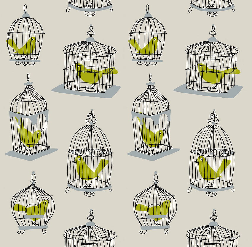 Best 5 Caged Bird on Hip, bird cage HD wallpaper