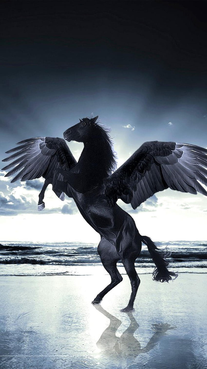 Pegasus HD-Handy-Hintergrundbild