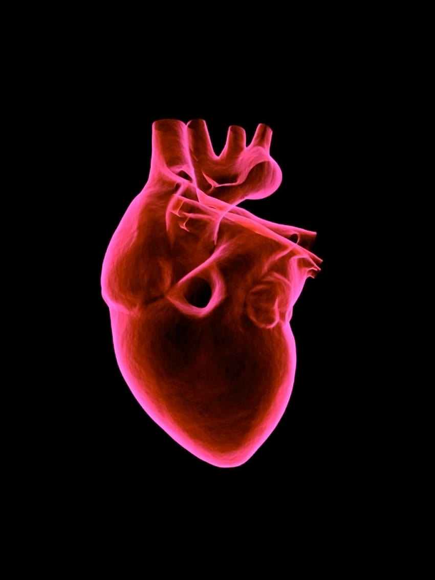 Retina jantung manusia iPad, jantung anatomis wallpaper ponsel HD