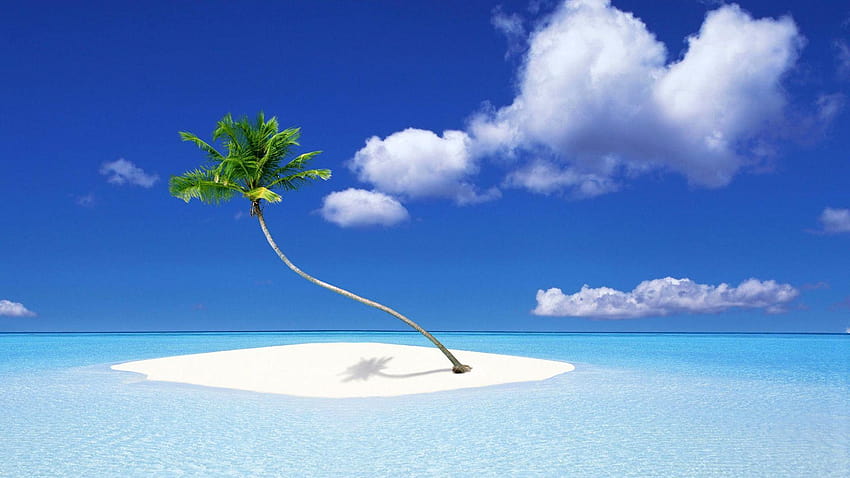 Palm Tree Island, piccola isola Sfondo HD