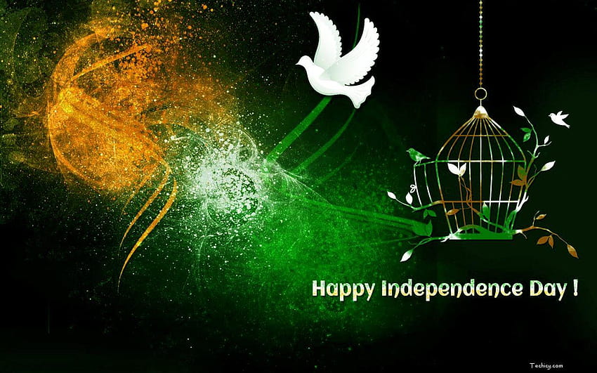 15th August Independence Day , 45 15th August Independence, independence day  for pc HD wallpaper | Pxfuel