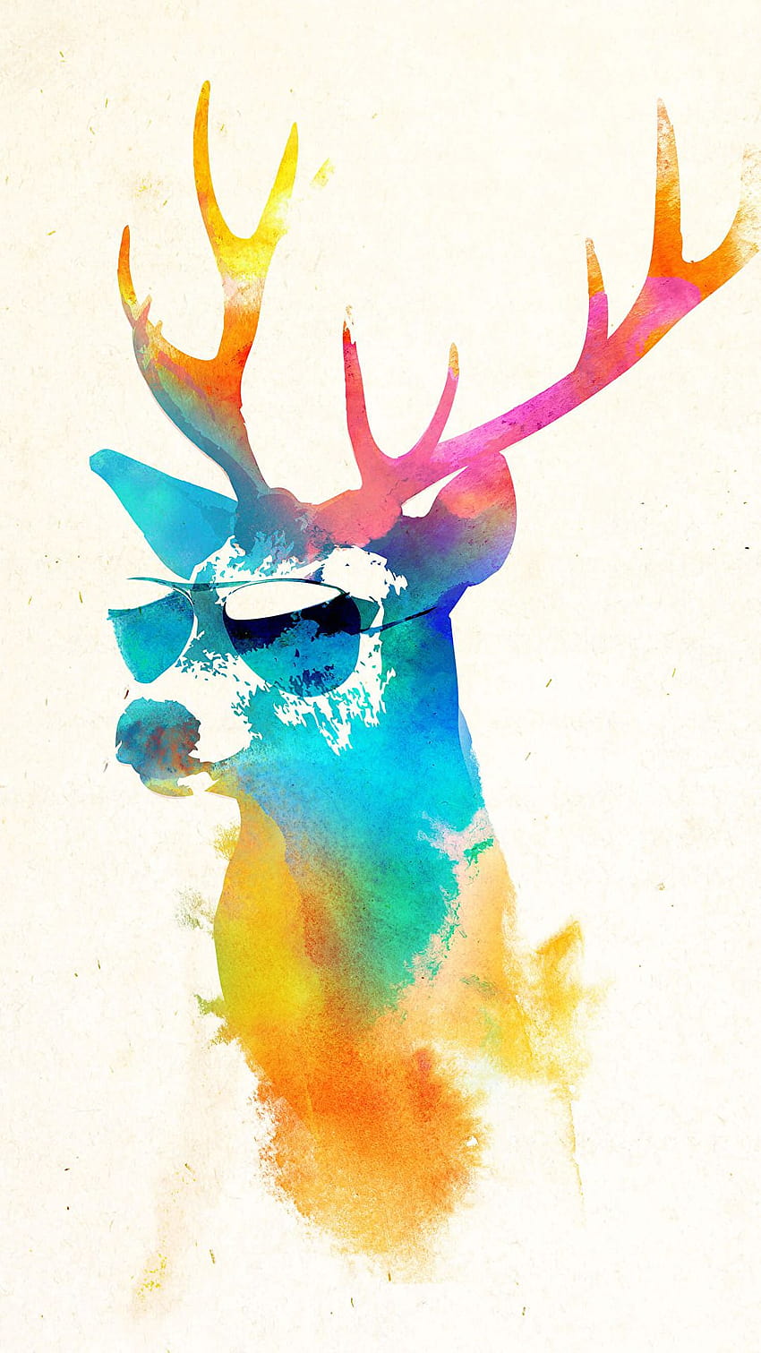 Sunny Stag HD phone wallpaper