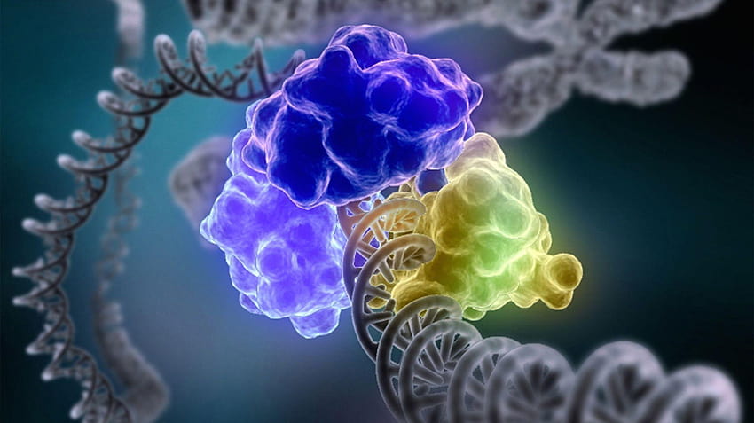DNA 3D 構造 分子 パターン 抽象化 遺伝的 サイケデリック 高画質の壁紙