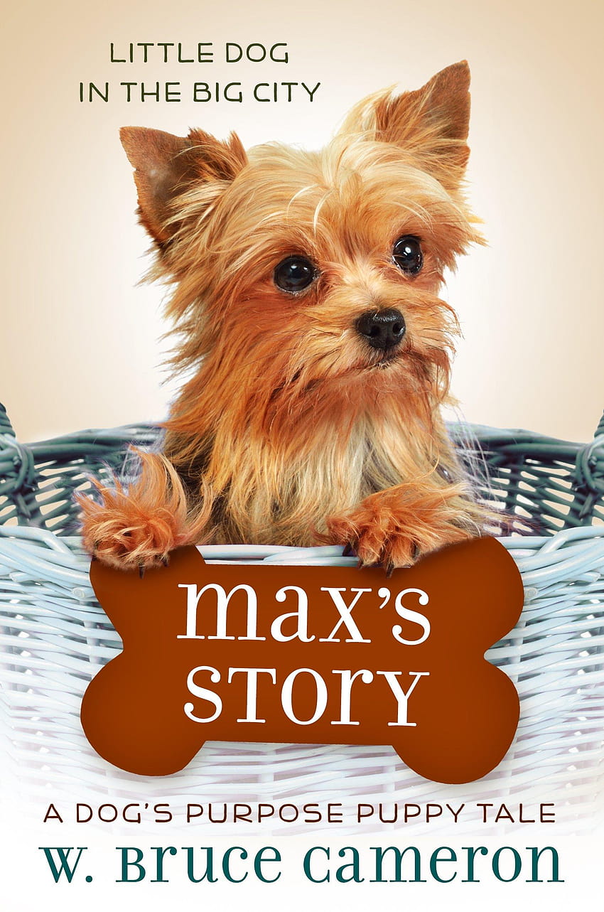 Max's Story: A Dog's Purpose Puppy Tale, ellies story a dogs purpose puppy tale HD phone wallpaper