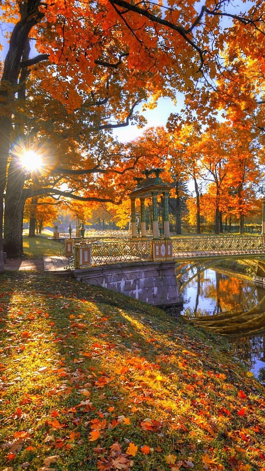 Parc, arbres, feuilles rouges, automne, pont, rayons de soleil, rivière, pont d'automne Fond d'écran de téléphone HD