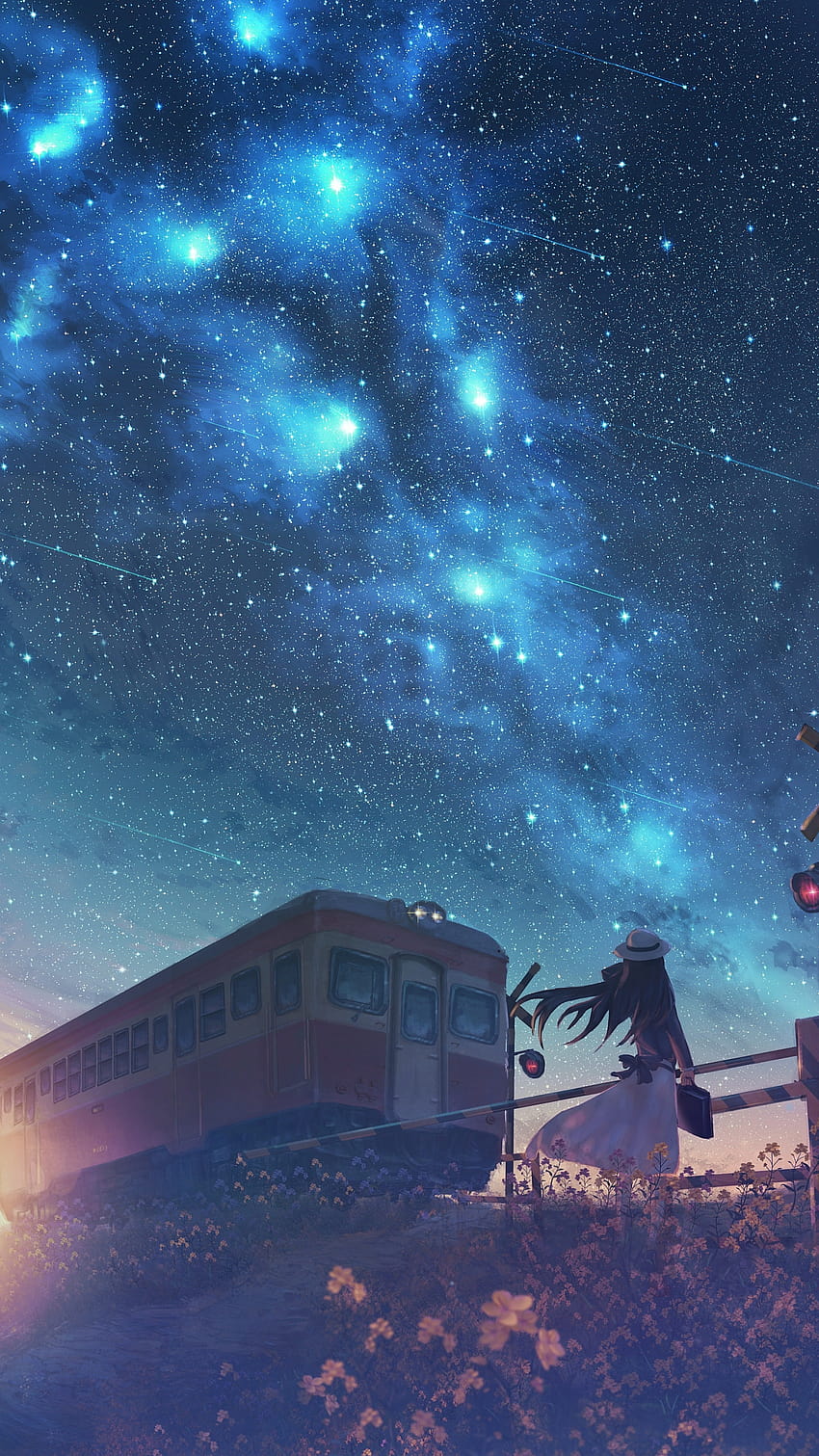 Railroad Car Night Anime Starry Sky Anime Girl [2000x3000] for your ...