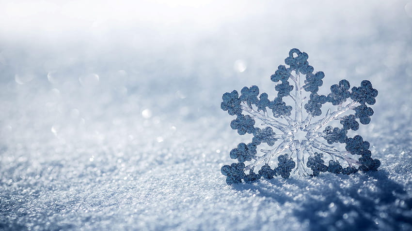 Ice Snowflake, water cycle HD wallpaper