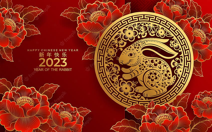 Happy Chinese new year 2023. Year of Rabbit character with asian style.  Chinese translation is mean Year of Rabbit Happy Chinese new year. 5211679  Vector Art at Vecteezy HD wallpaper | Pxfuel
