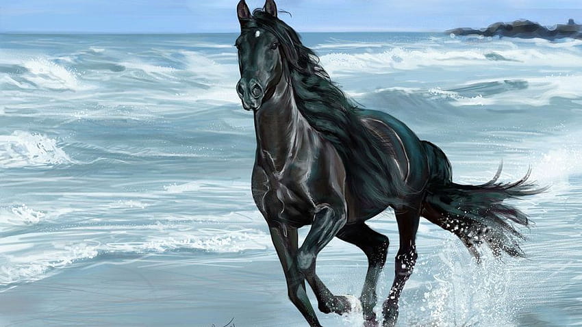 Running Black Horse, horses by the ocean HD wallpaper