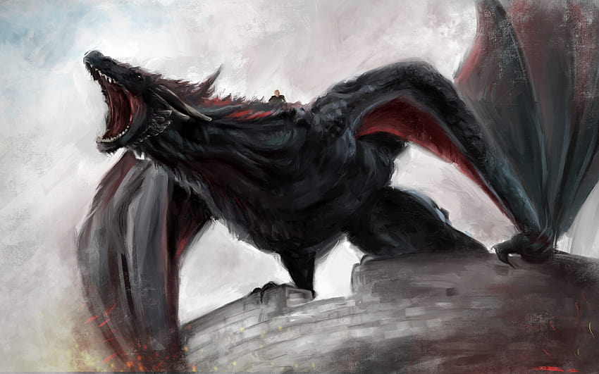 Game Of Thrones Drogon Wallpapers  Wallpaper Cave