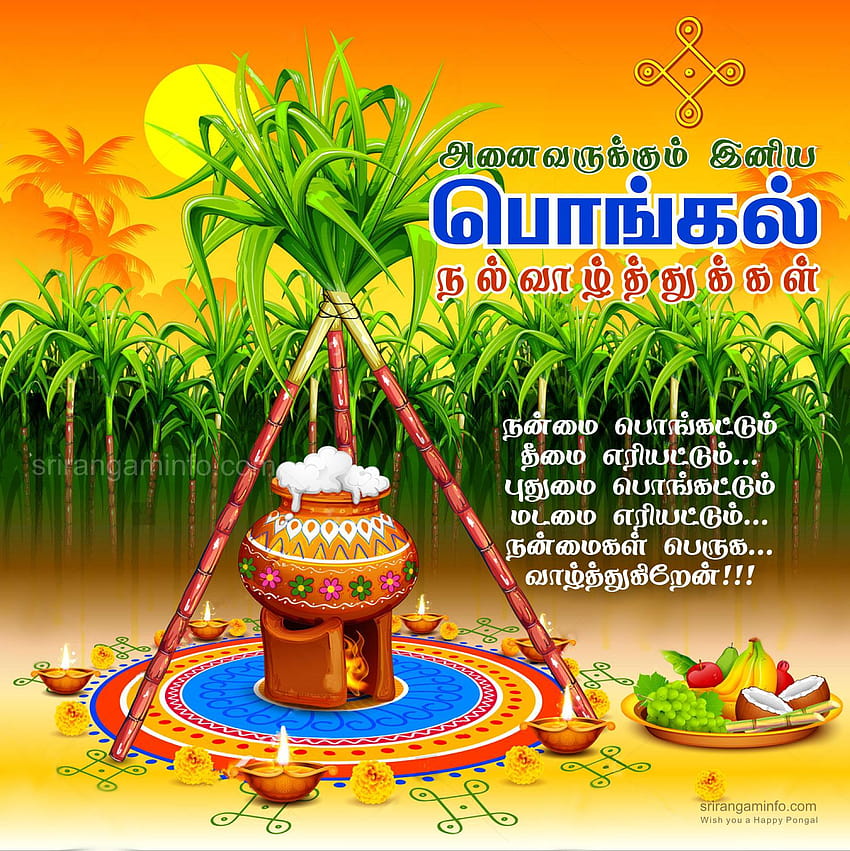 Pongal Greetings In Tamil Pot Infront Of The Sun HD phone wallpaper