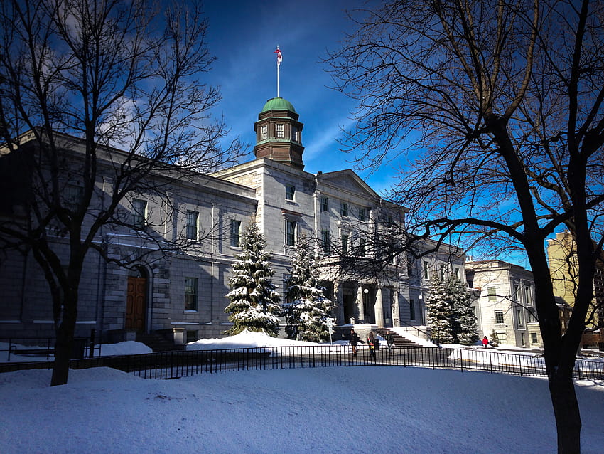 ไฟล์:McGill University, Winter.jpg วอลล์เปเปอร์ HD