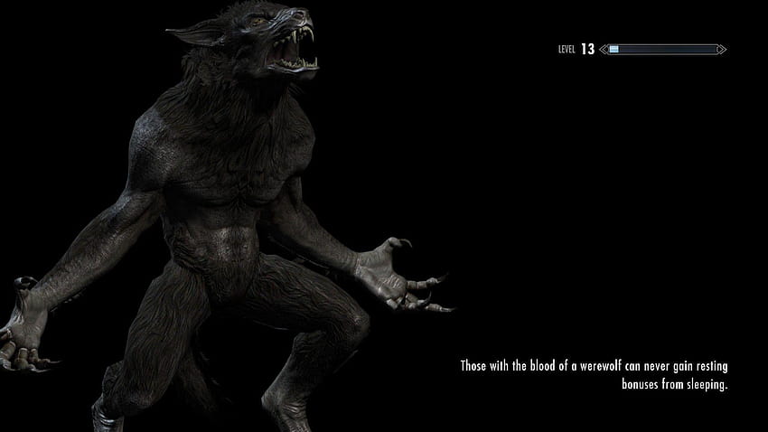 Steam Community :: Guide :: Lycanthropy In Skyrim, skyrim wereworlk HD wallpaper