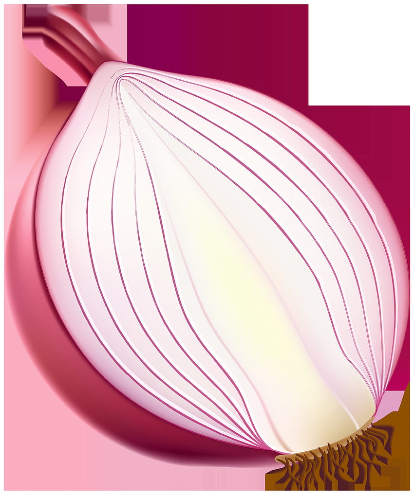 Half Red Onion PNG Clipart HD phone wallpaper