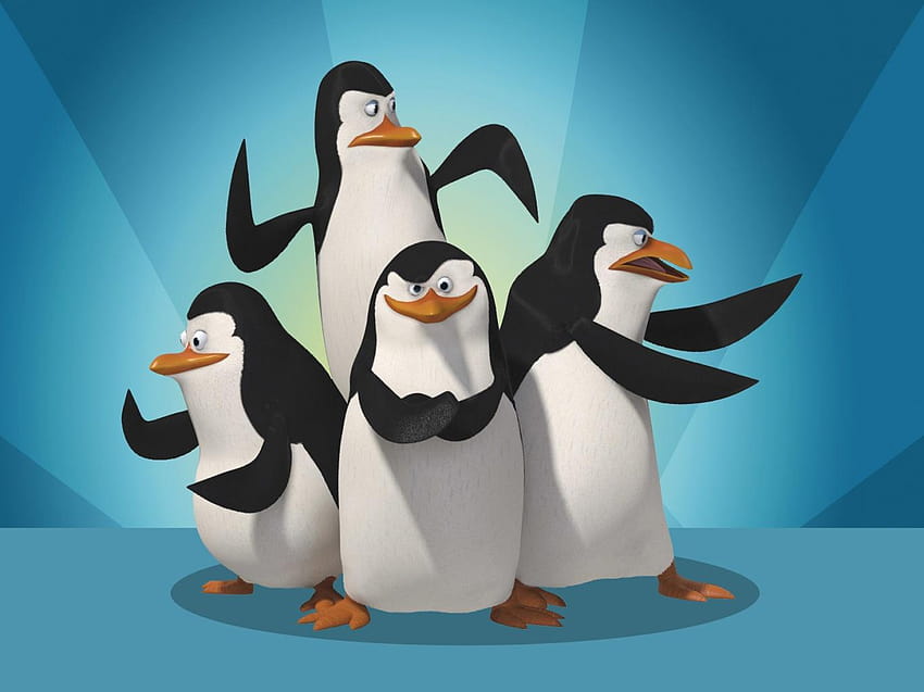 I pinguini del Madagascar Los Ping Inos De X Pel Culas, pinguino dei cartoni animati Sfondo HD