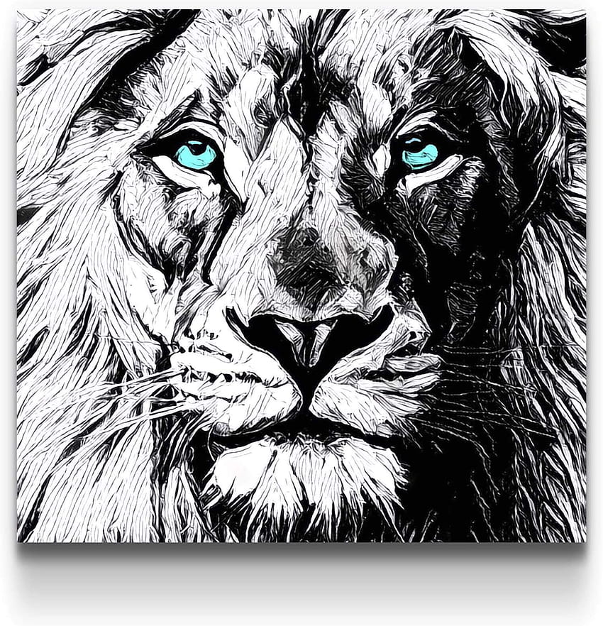 Startonight Canvas Wall Art Black and ...amazon, lion drawing HD phone wallpaper