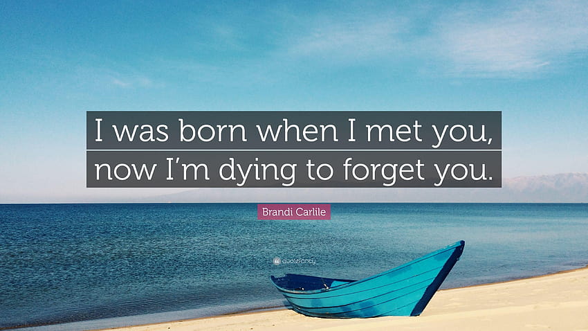 Brandi Carlile Quote: “I was born when I met you, now I'm dying to HD wallpaper