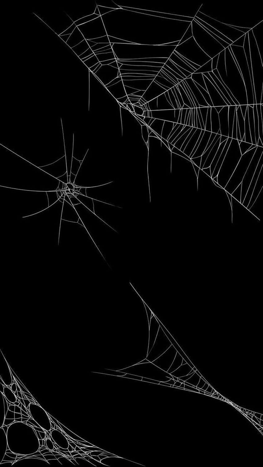 Download White Spider Webs Gothic Iphone Wallpaper  Wallpaperscom