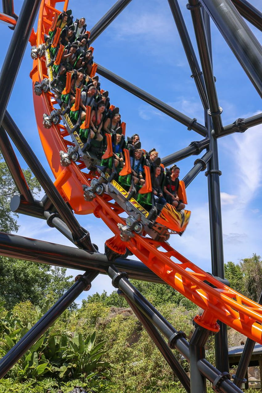 Take on the all new Tigris at Busch Gardens in Tampa, Florida. Visit marriedtotheworld or follow… HD phone wallpaper