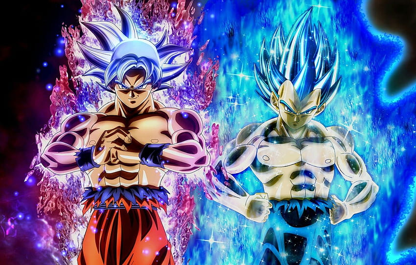 Goku y Vegeta en sus formas finales, ultra instinto azul evolucionado fondo de pantalla