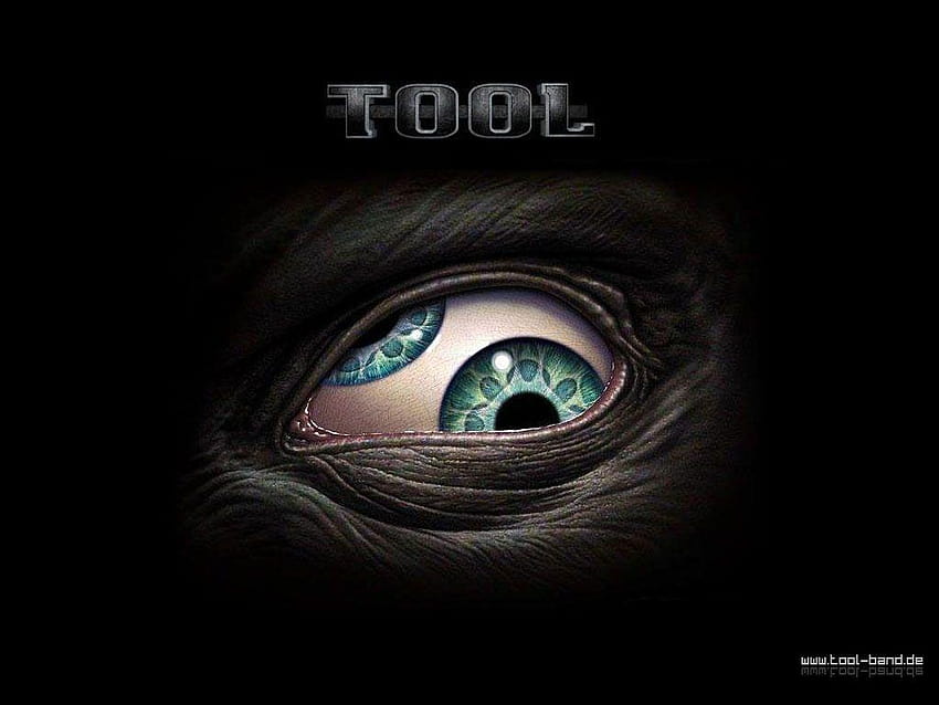 Tool Band Wallpapers  Top Free Tool Band Backgrounds  WallpaperAccess