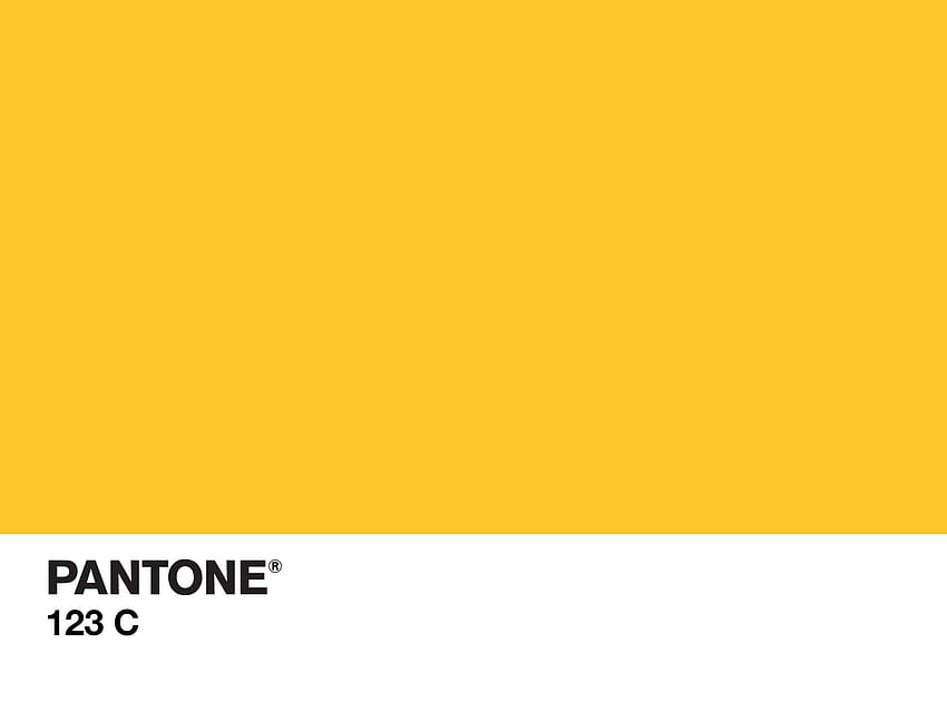 PANTONE Colour, laptop yellow HD wallpaper