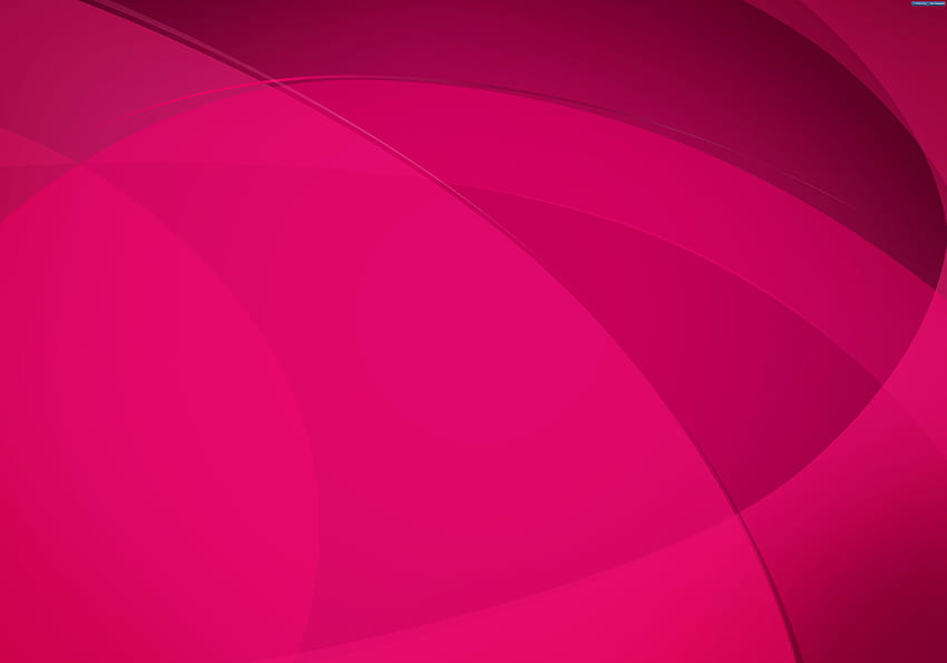 Hot Pink Backgrounds, fuchsia pink HD wallpaper