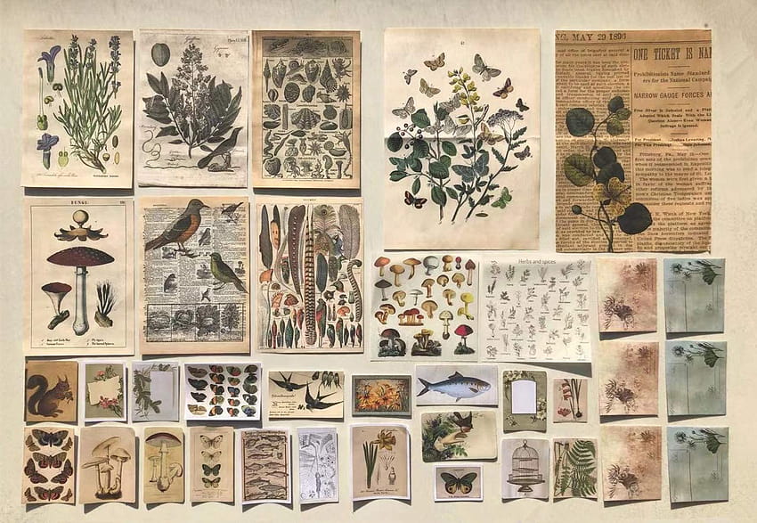 DESEACO Vintage Estetik Botanik Yapıştırıcı Washi Dekoratif Etiket Hurda Defteri, Antik Bitkiler Çiçek Kelebek Kağıt Retro Çıkartmaları Günlük Malzemeleri Günlük için Estetik Doğa Günlüğü Süsleme HD duvar kağıdı