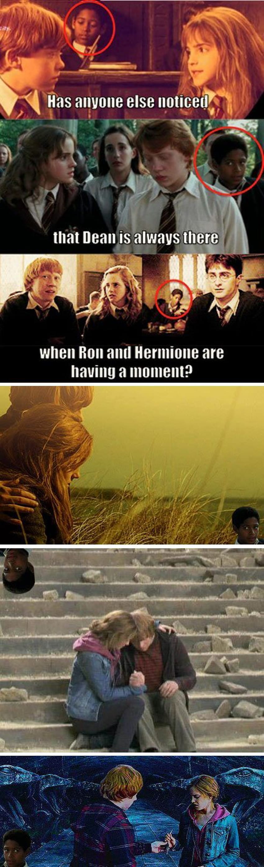Pin on Funny, hermione memes HD phone wallpaper