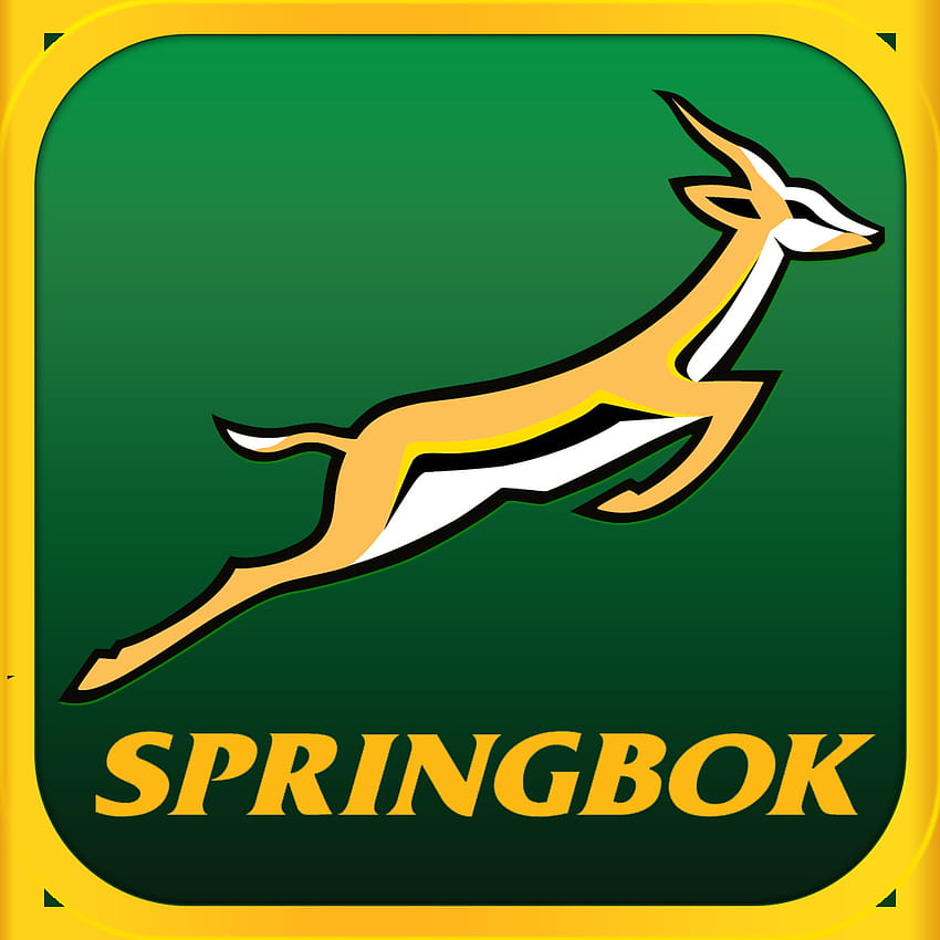 Springbok rugby ...za.pinterest Papel de parede de celular HD