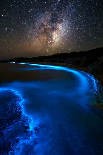 Here's Why You Will Love the Bioluminescent Bay in Grand Cayman ...