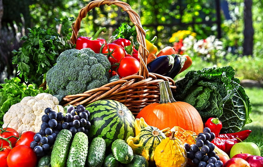 greens, basket, apples, watermelon, garden, grapes, pumpkins and basket HD wallpaper