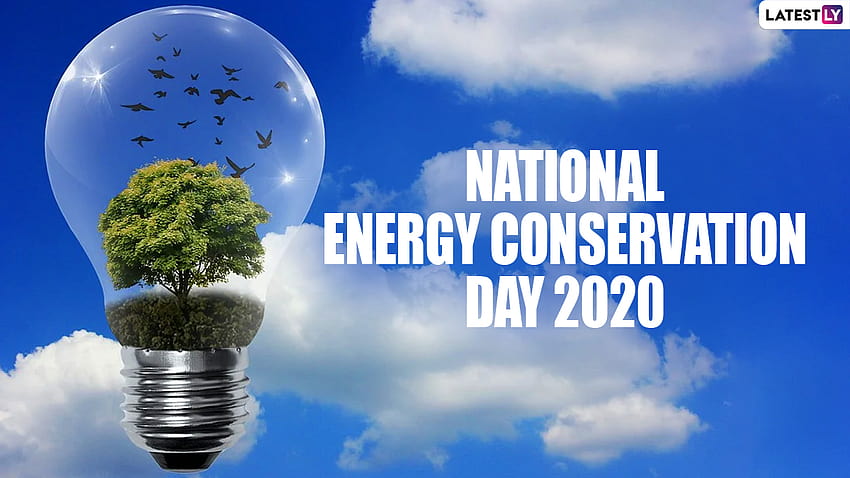 National Energy Conservation Day 2020 Quotes: Inspirational Sayings & to  Increase the Awareness on Energy Conservation HD wallpaper | Pxfuel