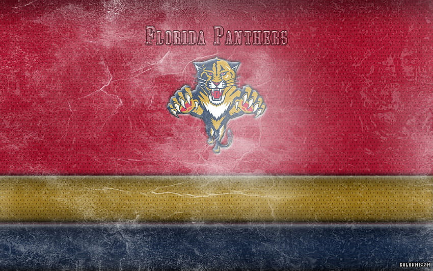 Florida Panthers Group HD wallpaper