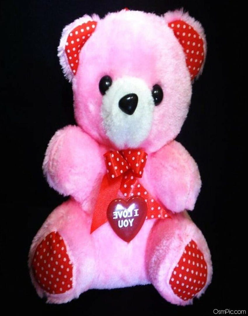 Cute Teddy Bear With Love For Whatsapp Dp, teddy bear love HD ...