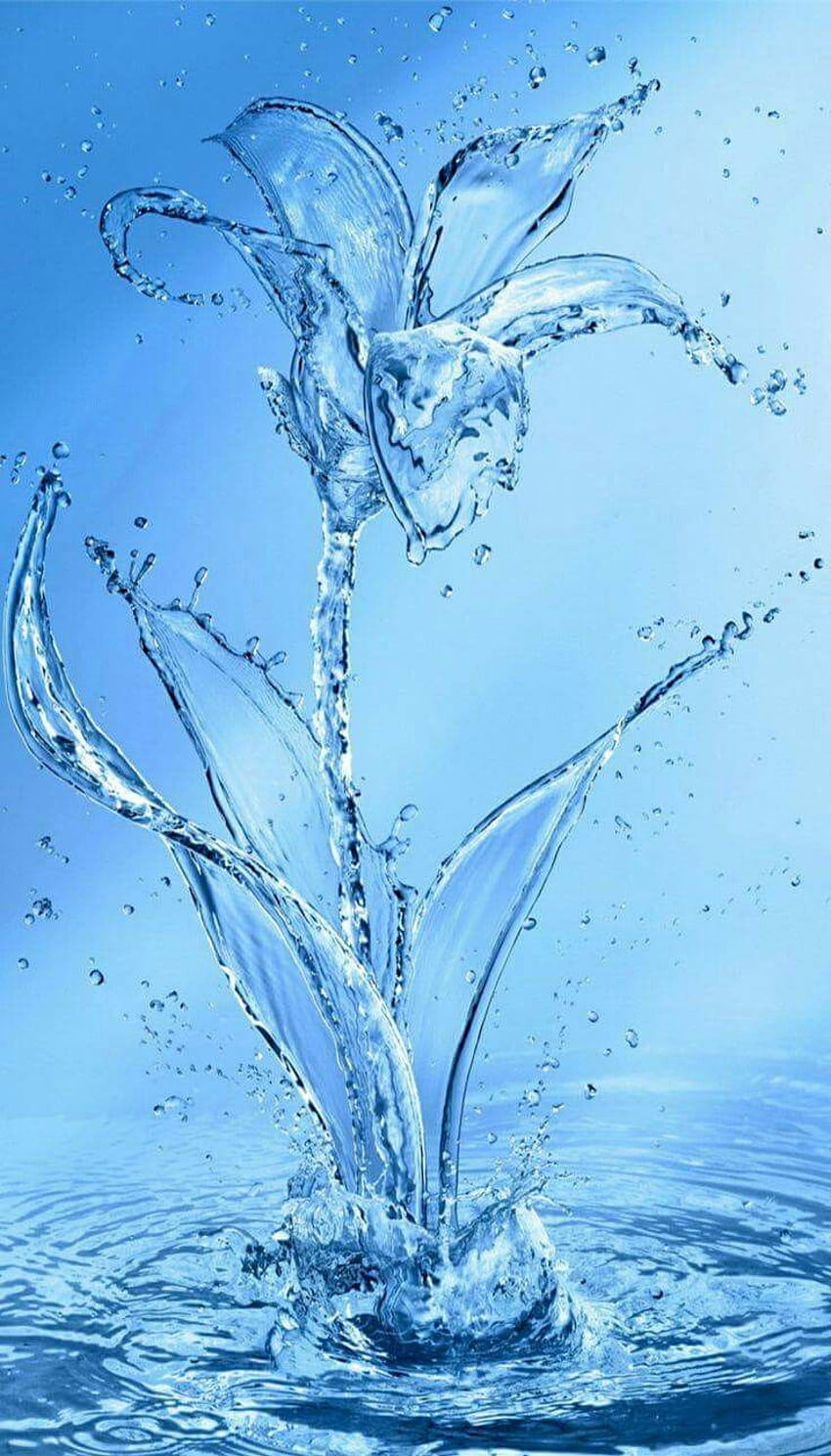 Flor de agua., agua hermosa fondo de pantalla del teléfono