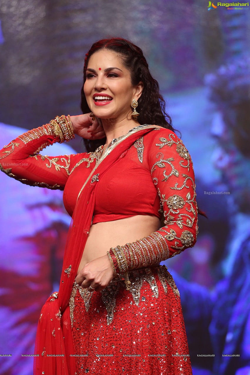 Sunny Leone en sari, Sunny Leone sari fondo de pantalla del teléfono