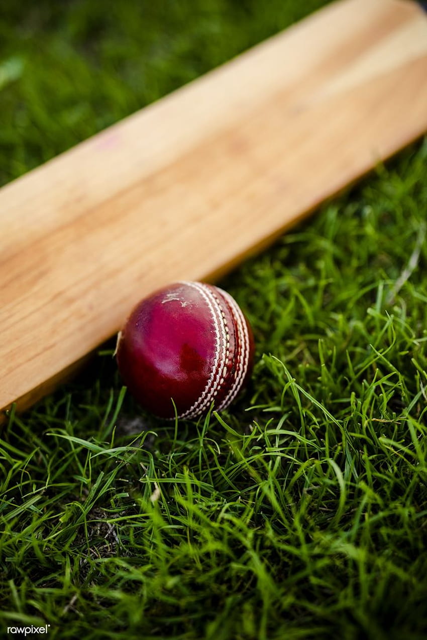 Bastão de críquete e bola na grama verde, kit de críquete Papel de parede de celular HD