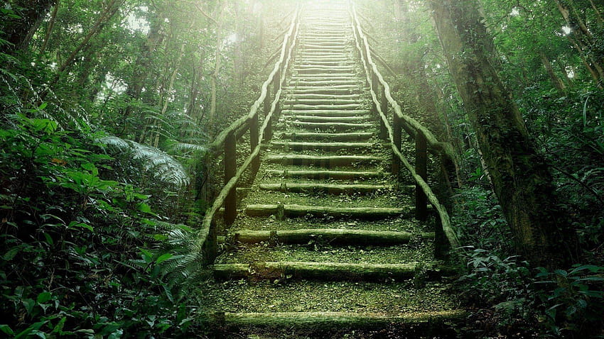 158 Stairs, steps HD wallpaper