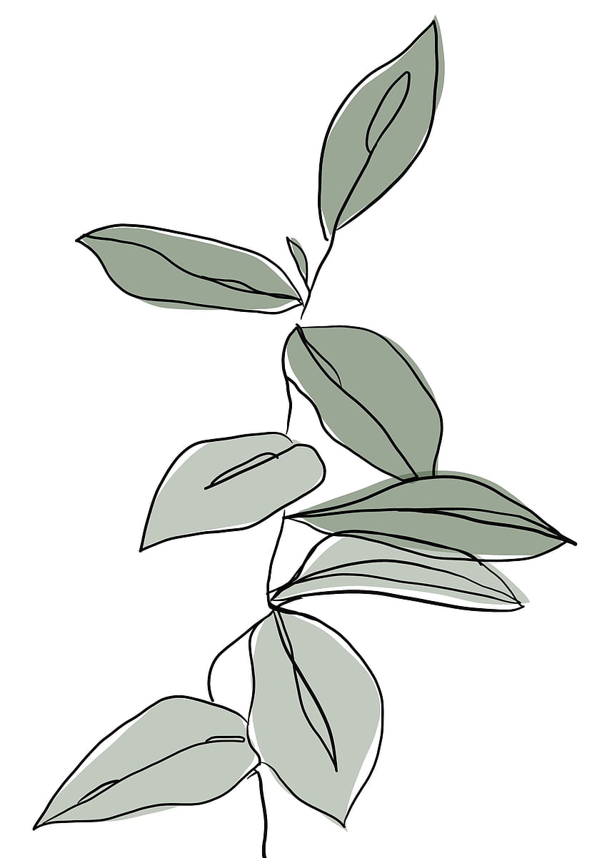 Minimalistyczny rysunek roślin Tapeta na telefon HD
