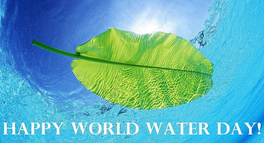 World Water Day HD wallpaper | Pxfuel